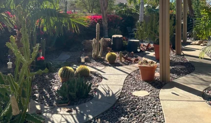 6 Landscaping
