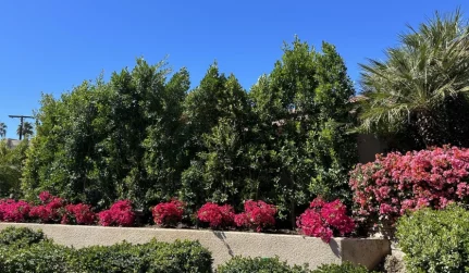 7 Landscape Maintenance
