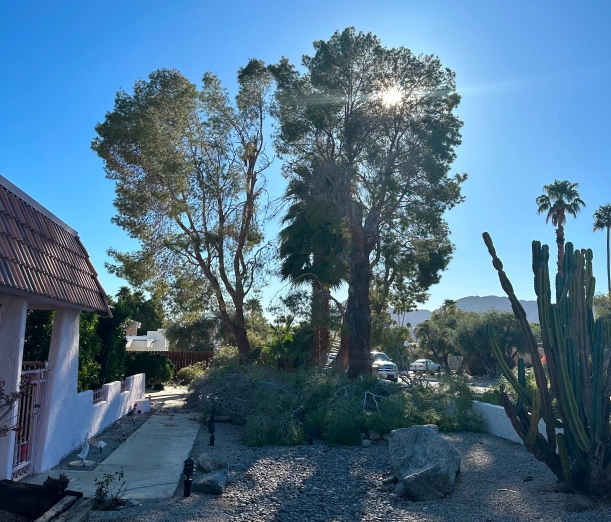 MG Landscape home media2